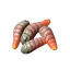 Maggots