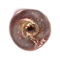 Elden-ring crimsonwhorl-bubbletear.webp
