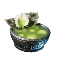 Calla Luna Soup