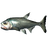 Vampire Fish
