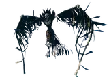 Fallen Valkyrie