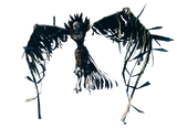 Fallen Valkyrie