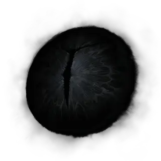 Iris of Occultation