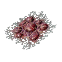 Corrosive Blood