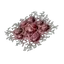 Corrosive Blood