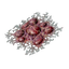 Corrosive Blood