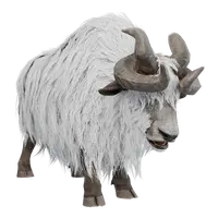 Yak