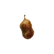 Dragon's Dogma 2 Rotten Quince.webp