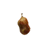 Rotten Quince