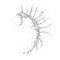 Elden-ring cursemark-of-death.webp