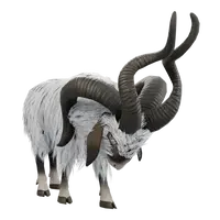 Frizzy Goat