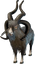 Frizzy Goat