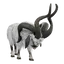 Frizzy Goat