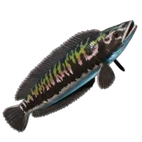 Stripetail