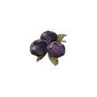 Dragon's Dogma 2 Ripened Blueberry.webp