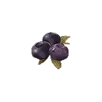 Ripened Blueberry