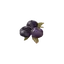 Ripened Blueberry