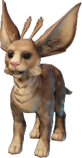Baby Fae Deer