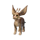 Baby Fae Deer