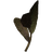 Elves Ear