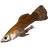 Histcarp
