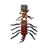 Ex-Disk