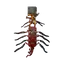 Ex-Disk