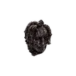 Dragon's Dogma 2 Withered Medusa Head.webp