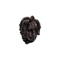 Withered Medusa Head