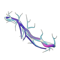 Electric Nerve