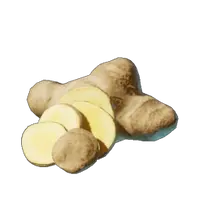Ginger