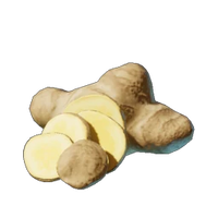 Ginger
