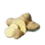 Ginger