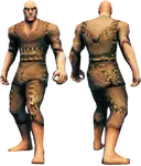 Rag Armor