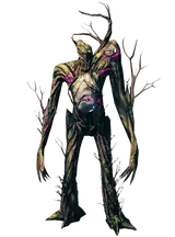 The Elder