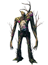 The Elder