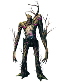 The Elder
