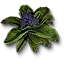 Pringrape