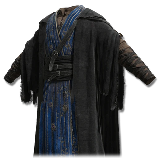 Preceptor's Long Gown