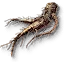 Allspice