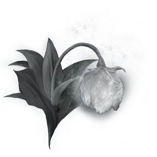 Great Grave Glovewort