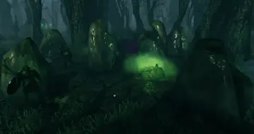 Swamp Grave