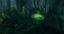 Swamp Grave