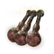 Elden-ring poison-spraymist.webp