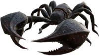 Scorpion