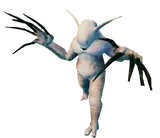 Eyeless One