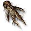 Mandrake Root