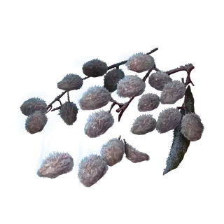 Frozen Raisin