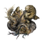 Elden-ring talisman-of-all-crucibles.webp