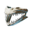 Fish Teeth